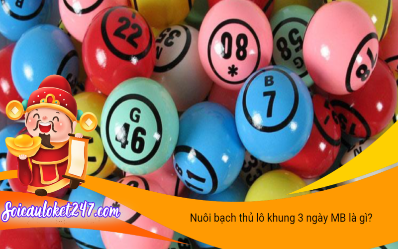 Khai-niem-ve-nuoi-bach-thu-lo-khung-3-ngay-MB