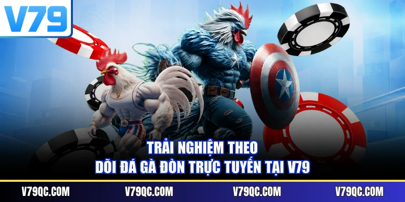 Trải nghiệm theo dõi đá gà đòn trực tuyến tại V79
